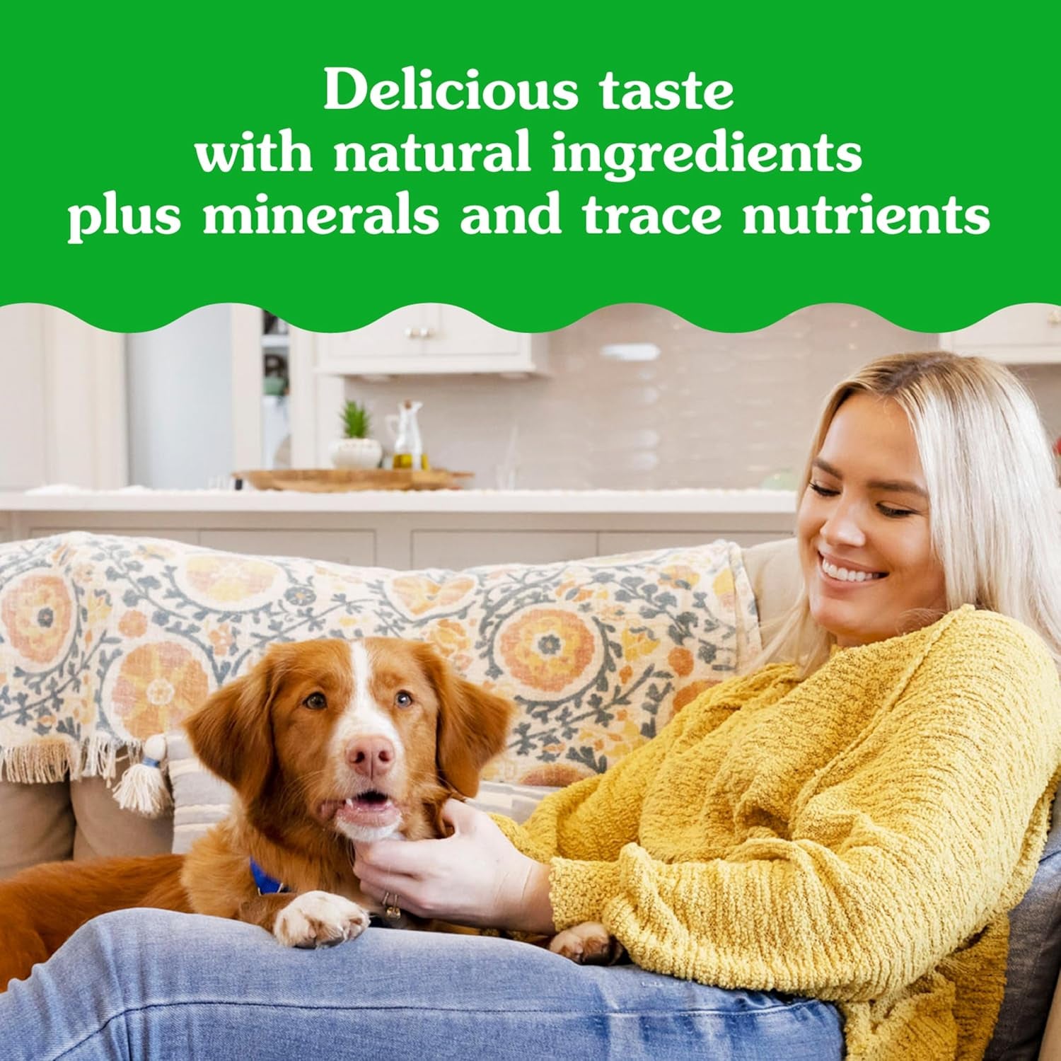 Pill Pockets for Dogs Large Size, Soft Dog Treats, with Real Peanut Butter, 15.8 Oz. Pouch (60 Treats)