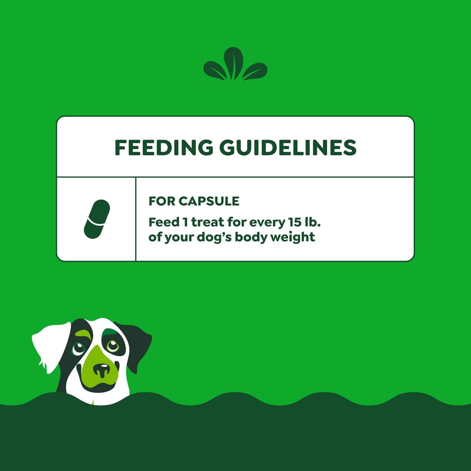 Pill Pockets for Dogs Large Size, Soft Dog Treats, with Real Peanut Butter, 15.8 Oz. Pouch (60 Treats)